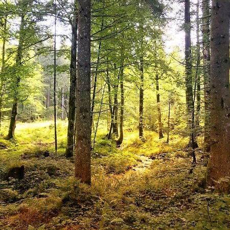 Ferienwohnung - Missen-Wilhams Allgaeu Buitenkant foto