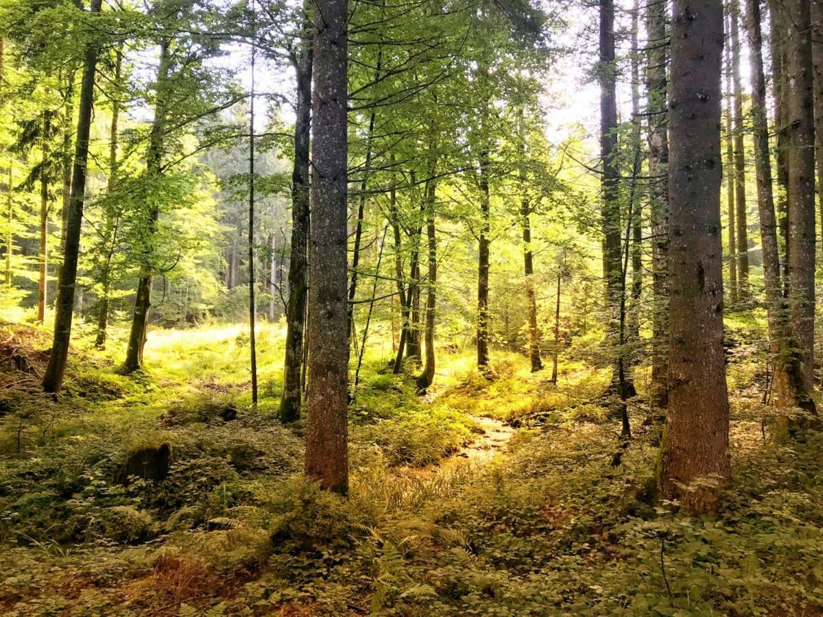 Ferienwohnung - Missen-Wilhams Allgaeu Buitenkant foto